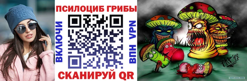 Псилоцибиновые грибы Cubensis  Наволоки 